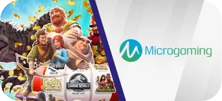 Micro Gaming
